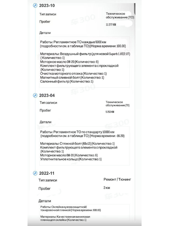 Пример отчета 10