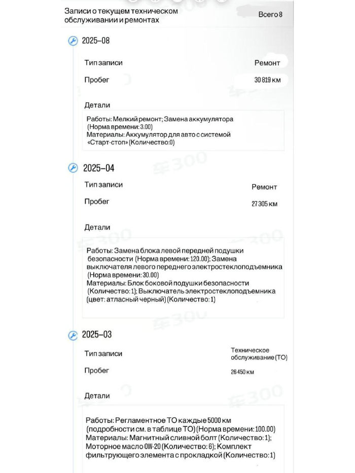 Пример отчета 8